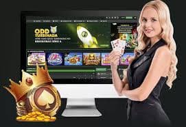 dk7 slot